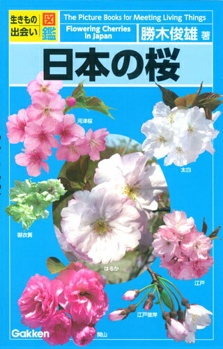 【中古】日本の桜 生きもの出会い図鑑/学研教育出版/勝木俊雄（単行本）