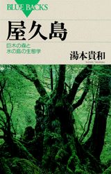 【中古】屋久島 巨木の森と水の島の生態学/講談社/湯本貴和（新書）