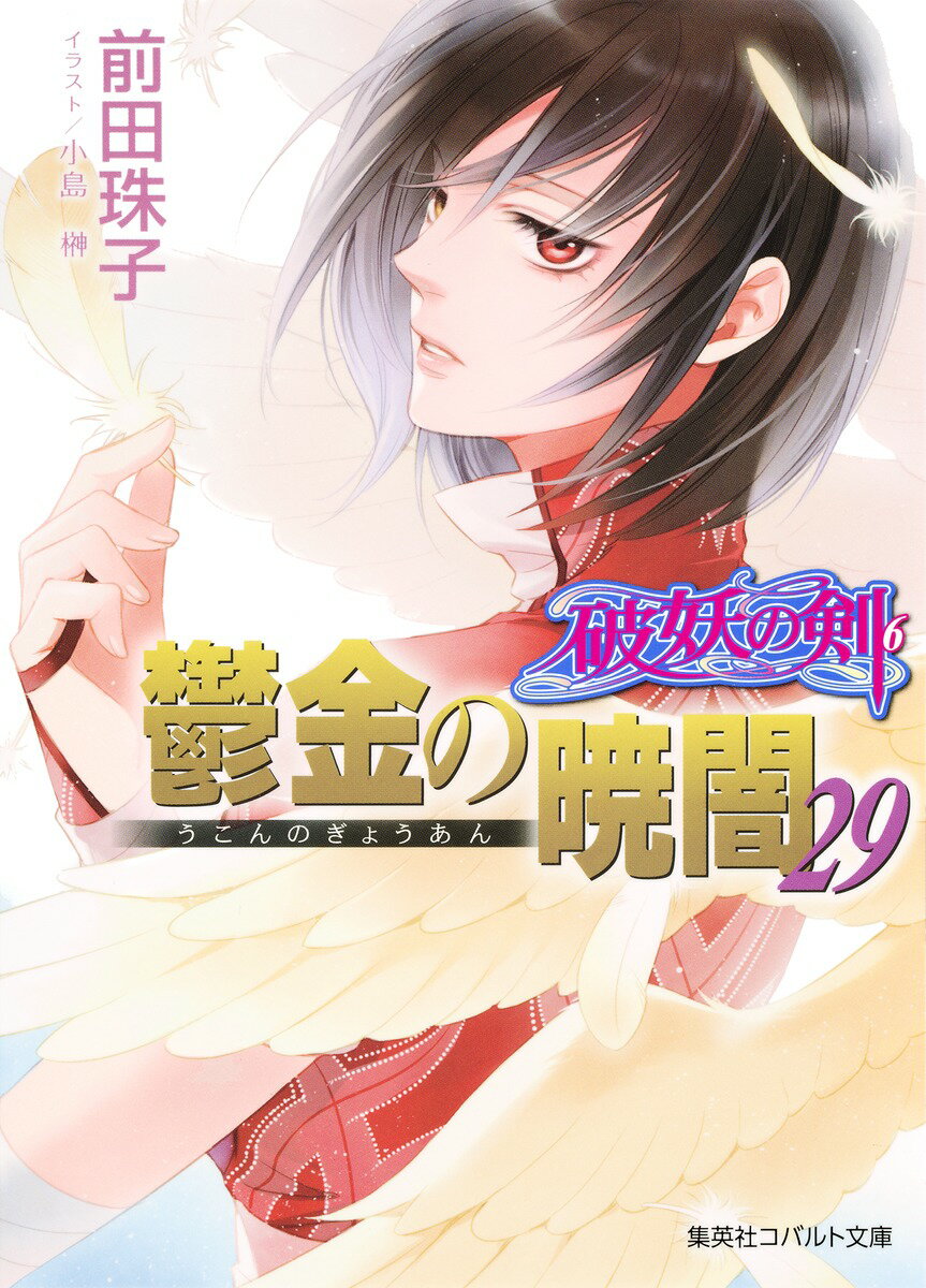 【中古】鬱金の暁闇 破妖の剣6 29/集英社/前田珠子（文庫）