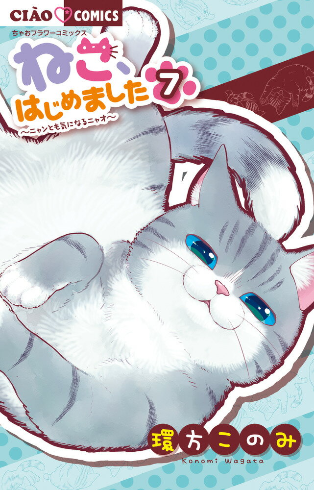 Shueisha Margaret C - 【中古】ねこ、はじめました ニャンとも気になるニャオ 7/小学館/環方このみ（コミック）
