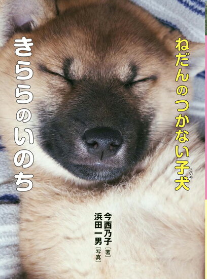 【中古】ねだんのつかない子犬きららのいのち/岩崎書店/今西乃子（単行本）
