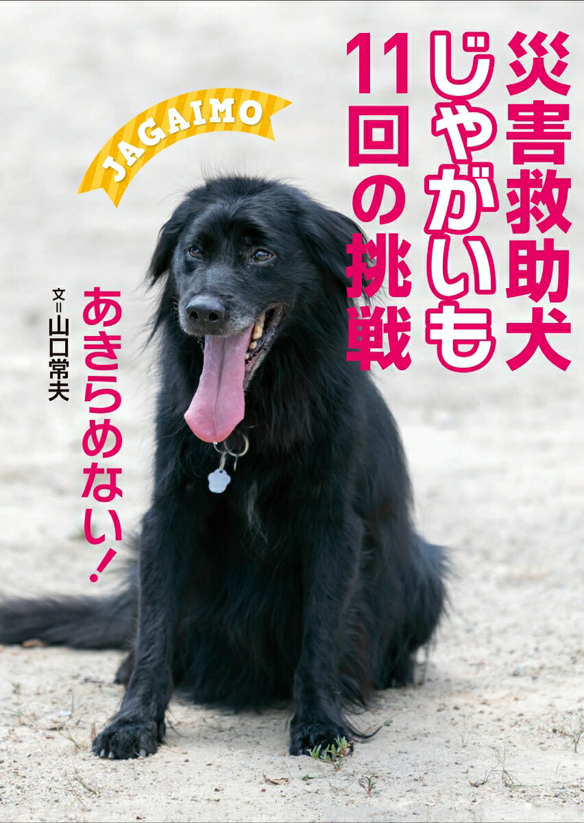 ◆◆◆非常にきれいな状態です。中古商品のため使用感等ある場合がございますが、品質には十分注意して発送いたします。 【毎日発送】 商品状態 著者名 山口常夫 出版社名 岩崎書店 発売日 2019年11月30日 ISBN 9784265840205