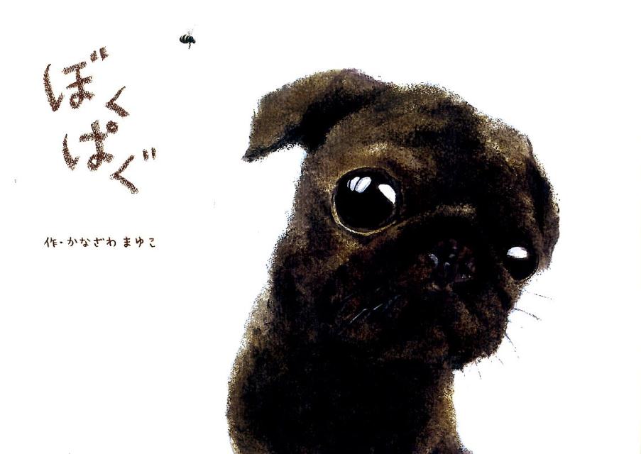 【中古】ぼくぱぐ/出版ワ-クス/かなざわまゆこ（大型本）