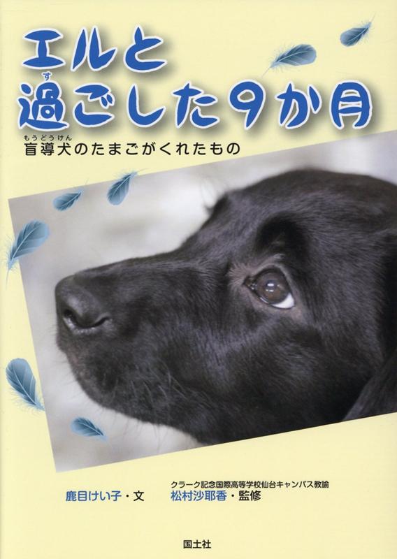 【中古】エルと過ごした9か月 盲導犬のたまごがくれたもの/国土社/鹿目けい子（単行本）