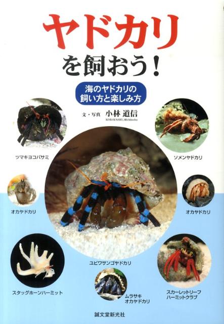 ◆◆◆全体的に汚れ、日焼けがあります。中古ですので多少の使用感がありますが、品質には十分に注意して販売しております。迅速・丁寧な発送を心がけております。【毎日発送】 商品状態 著者名 小林道信 出版社名 誠文堂新光社 発売日 2010年03月 ISBN 9784416710234