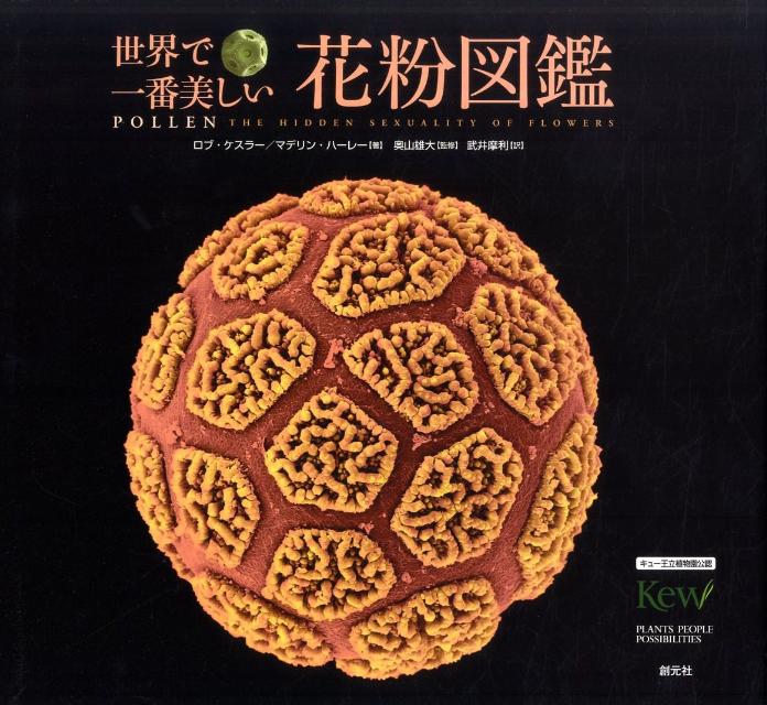 【中古】世界で一番美しい花粉図鑑/創元社/ロブ・ケスラ-（単行本）