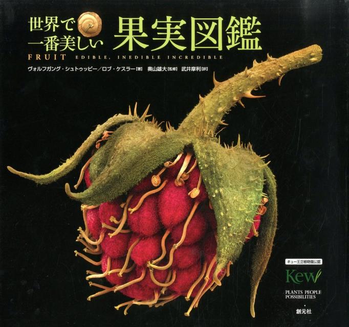 【中古】世界で一番美しい果実図鑑 キュ-王立植物園公認/創元社/ヴォルフガング・シュトゥッピ-（大型本）