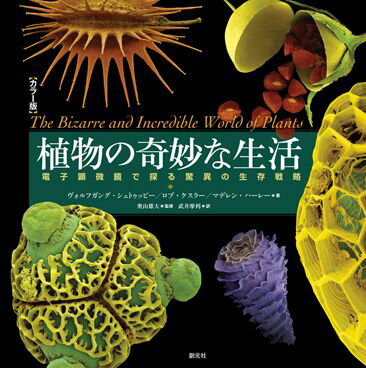 【中古】植物の奇妙な生活 電子顕微鏡で探る驚異の生存戦略/創元社/ヴォルフガング・シュトゥッピ-（単..