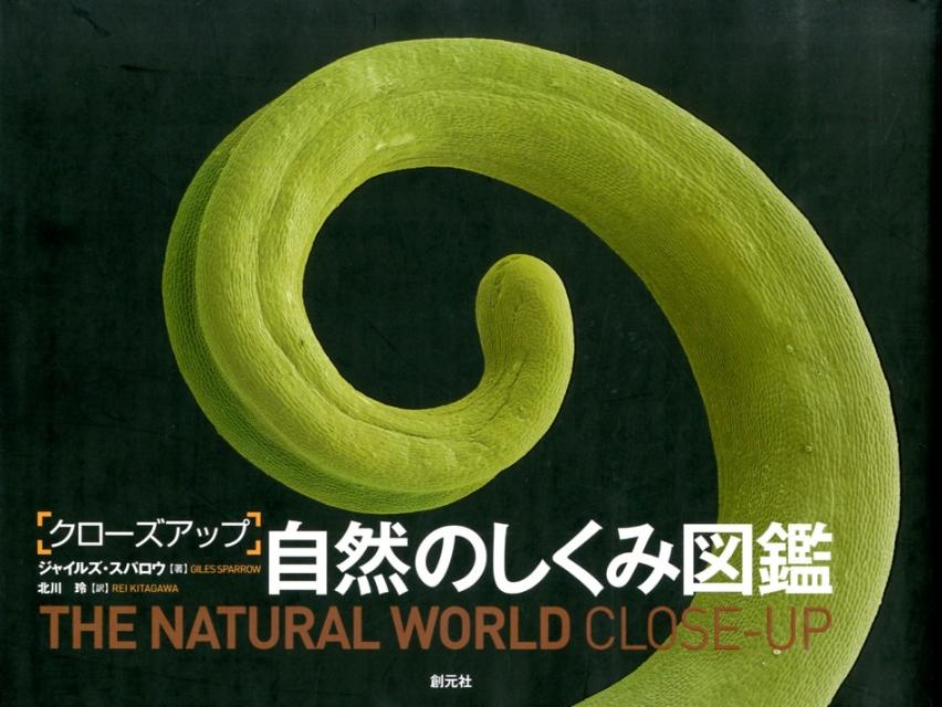 ����šۥ���-�����å׼����Τ����߿޴�/�ϸ���/���㥤�륺�����ѥ�����ñ���ܡ�