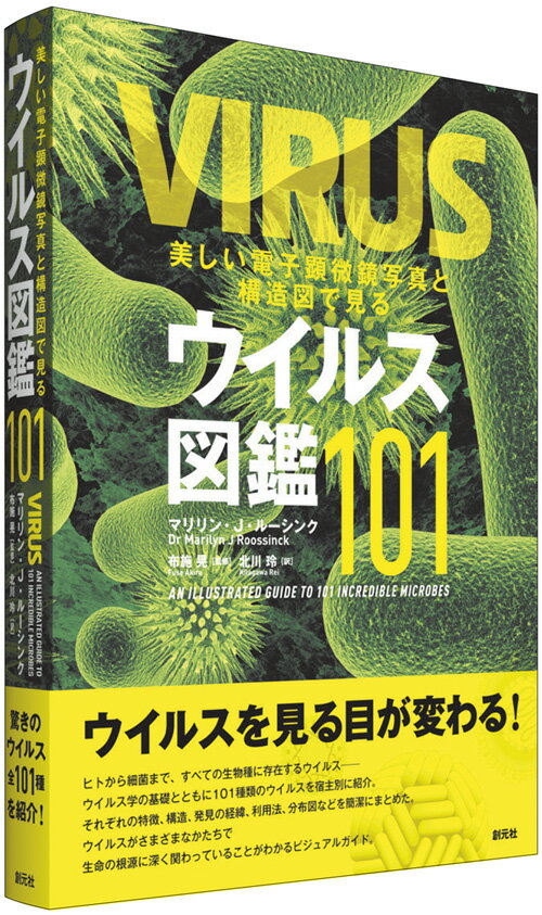 【中古】美しい電子顕微鏡写真と構造図で見るウイルス図鑑101/創元社/マリリン・J・ルーシンク（単行本）