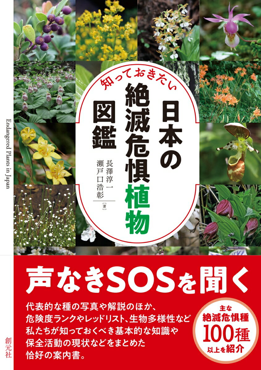 【中古】知っておきたい日本の絶滅危惧植物図鑑/創元社/長澤淳一（単行本）