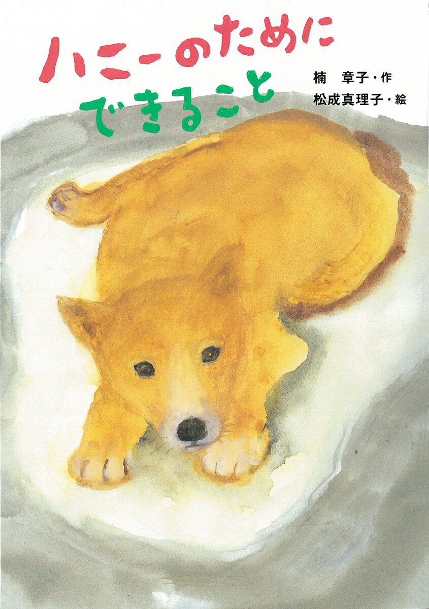 【中古】ハニーのためにできること/童心社/楠章子（単行本）