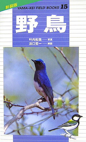 【中古】野鳥/山と渓谷社/叶内拓哉（単行本）