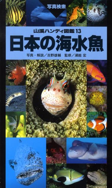 楽天市場】海水魚 販売（スポーツ・アウトドア｜ホビー・スポーツ