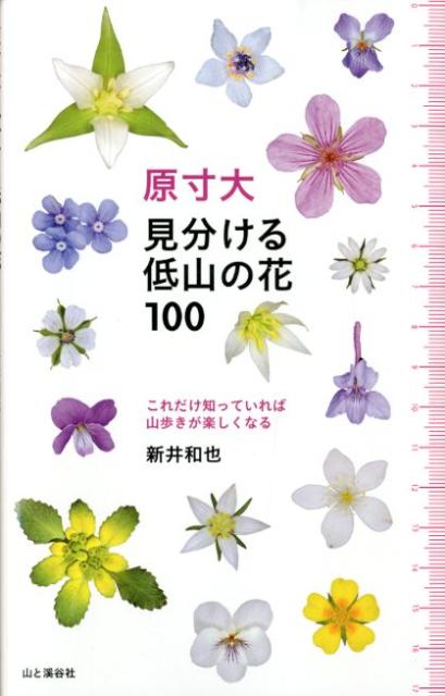 【中古】原寸大見分ける低山の花100 これだけ知っていれば山歩きが楽しくなる/山と渓谷社/新井和也（新書）