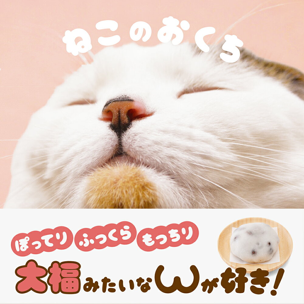 【中古】ねこのおくち/パイインタ-ナショナル/パイインターナショナル（単行本（ソフトカバー））