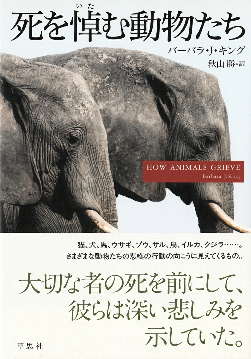 【中古】死を悼む動物たち/草思社/バ-バラ・J．キング（単行本）