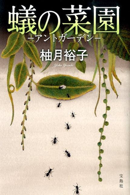 【中古】蟻の菜園 アントガ-デン/宝島社/柚月裕子（単行本）