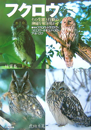 【中古】フクロウ その生態と行動の神秘を解き明かす/文一総合出版/Birder編集部（大型本）