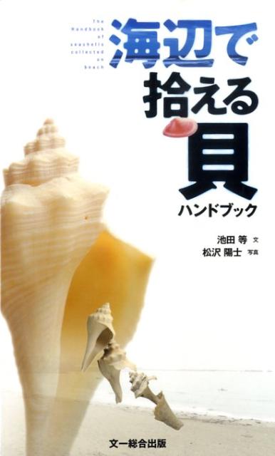 【中古】海辺で拾える貝ハンドブック/文一総合出版/池田等（単行本）