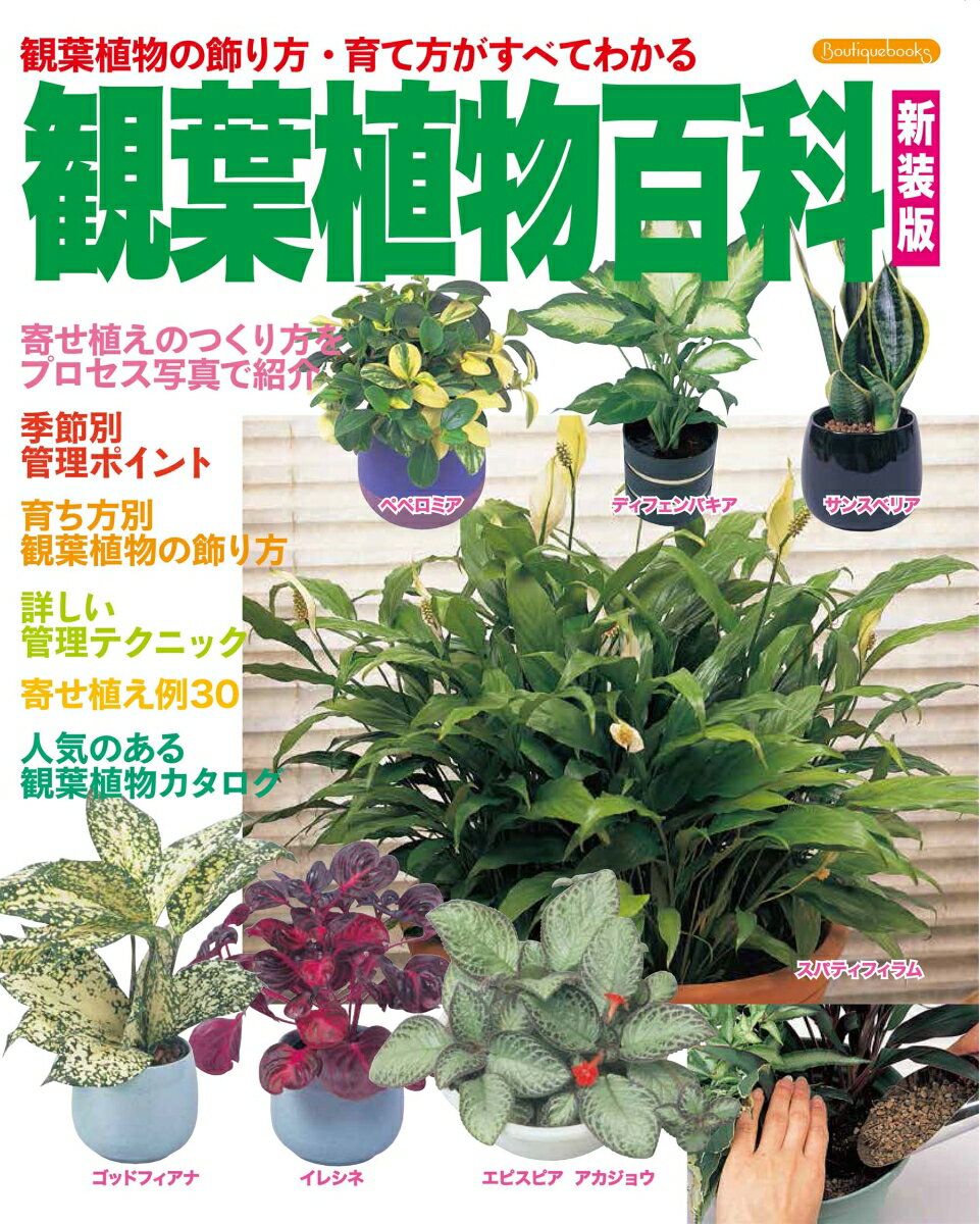【中古】観葉植物百科 観葉植物の飾り方・育て方がすべてわかる 新装版/ブティック社（単行本）