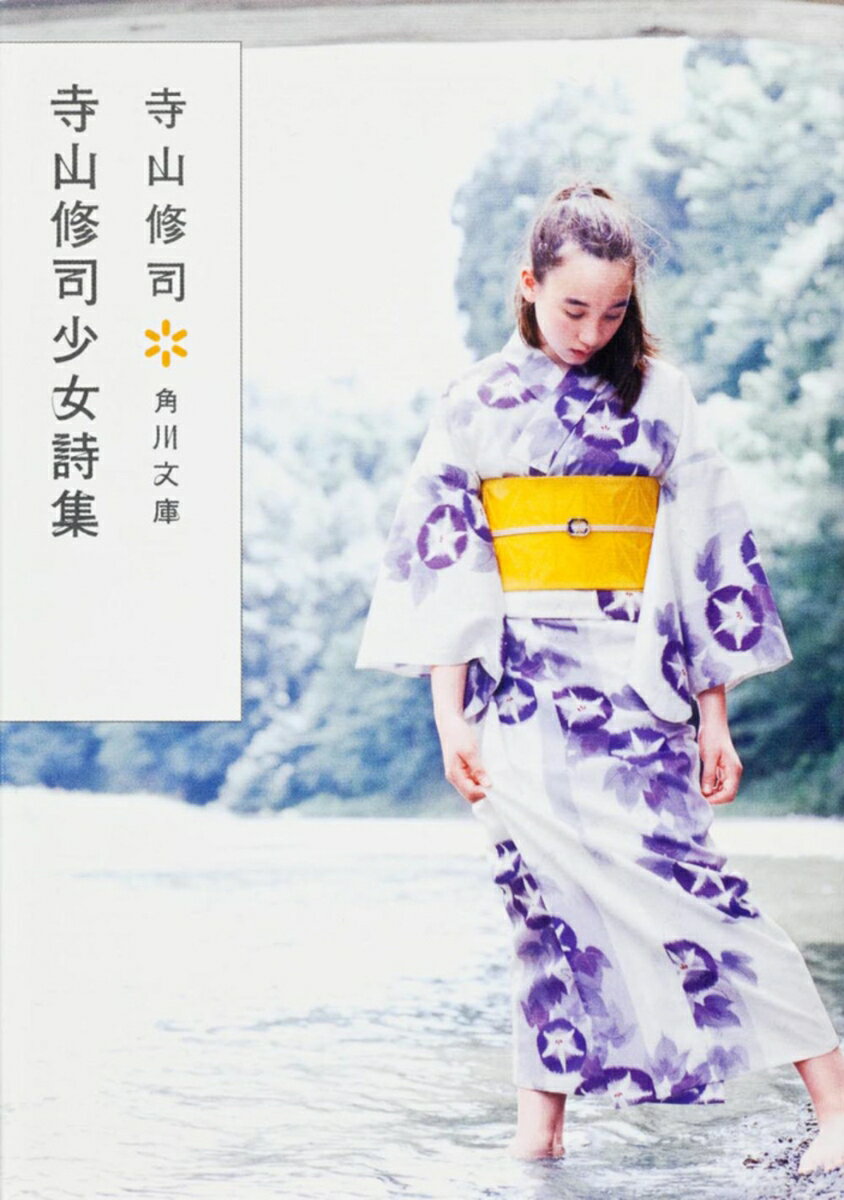 VALUE BOOKS㤨֡šۻʾ ʿ17ǯͲ/Ź/ʡʸˡˡפβǤʤ334ߤˤʤޤ