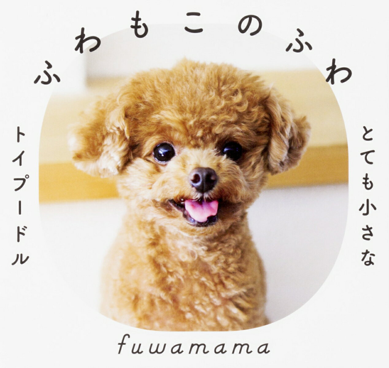 Essays - 【中古】ふわもこのふわ とても小さなトイプードル/KADOKAWA/fuwamama（単行本）