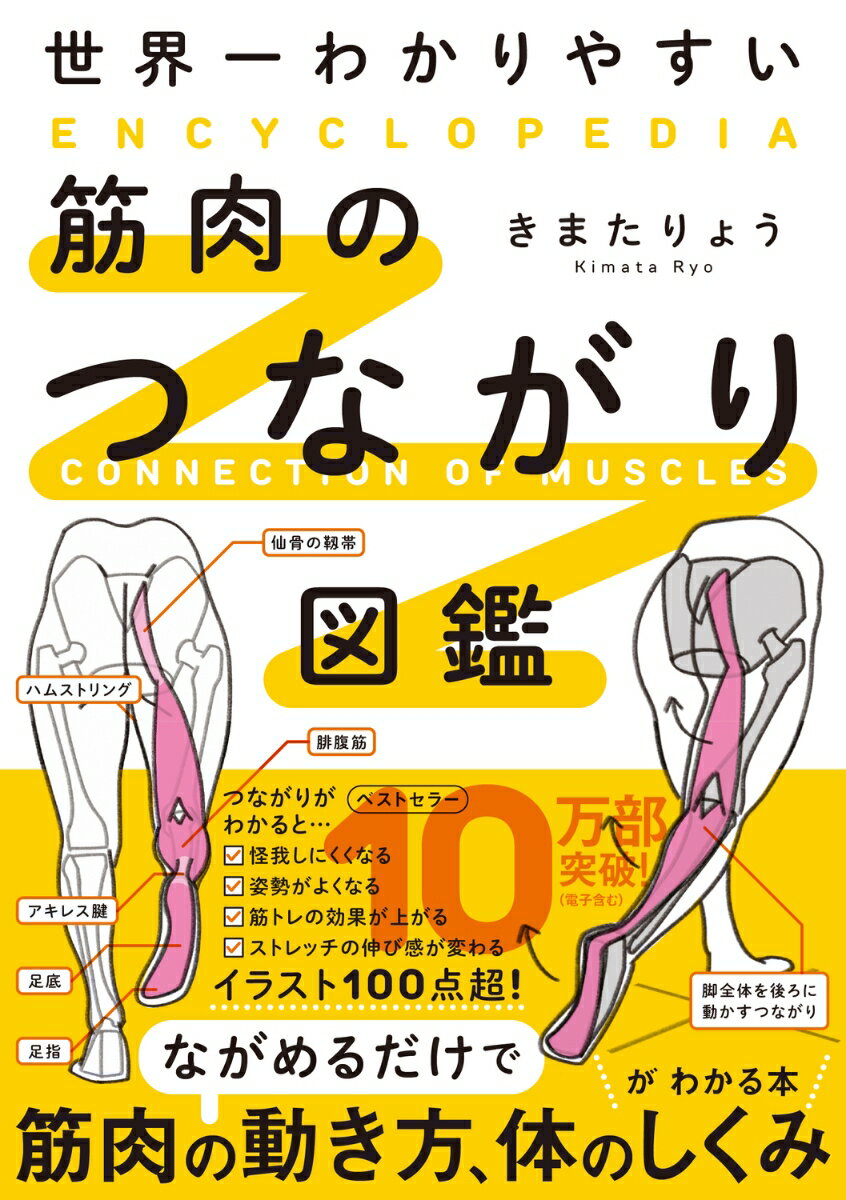 世界一わかりやすい筋肉のつながり図鑑/KADOKAWA/きまたりょう（単行本）