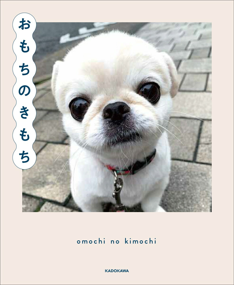 【中古】おもちのきもち/KADOKAWA（単行本）