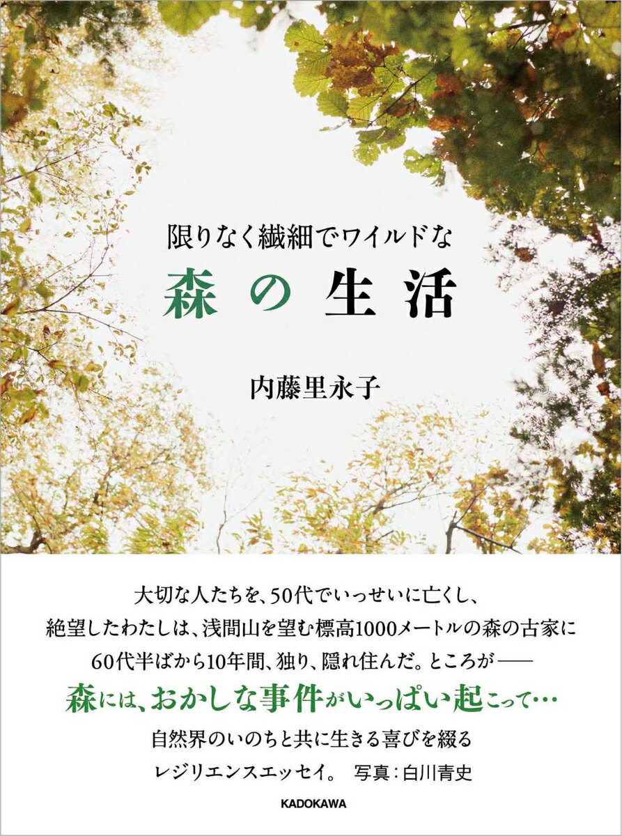 【中古】限りなく繊細でワイルドな森の生活/KADOKAWA/内藤里永子（単行本）