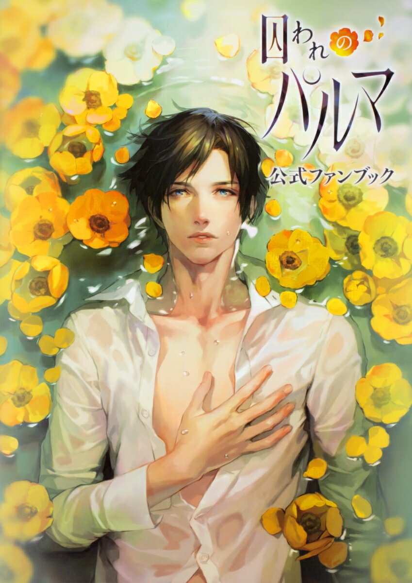 【中古】囚われのパルマ公式ファンブック/KADOKAWA/カプコン（単行本）