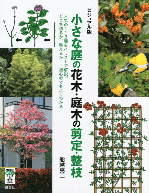 【中古】小さな庭の花木・庭木の剪定・整枝 人気の113種をイラストで解説。どこを切るか、整え/講談社/船越亮二（単…