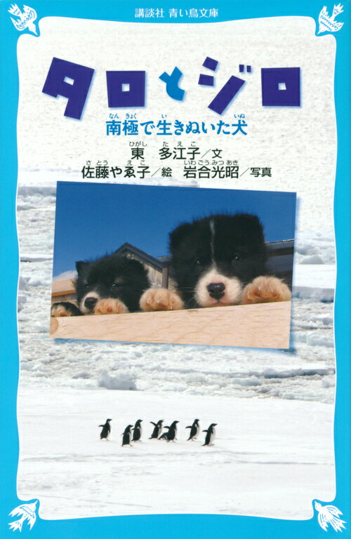 【中古】タロとジロ 南極で生きぬいた犬/講談社/東多江子（新書）