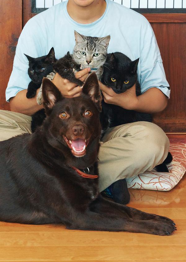 【中古】タイピー日記「犬1匹、猫4匹との佐渡島暮らし」/講談社/タイピー日記（単行本（ソフトカバー））