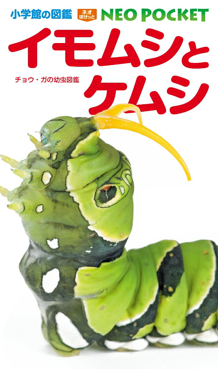 【中古】イモムシとケムシ チョウ・ガの幼虫図鑑/小学館/鈴木知之（単行本）