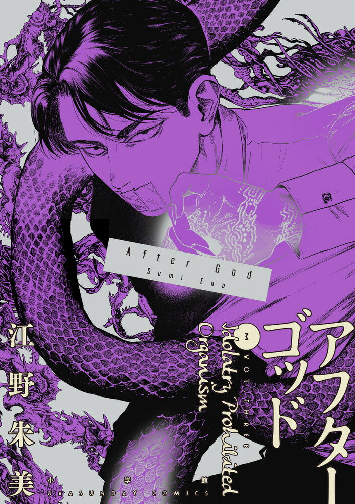 乐天商城 - 【中古】アフターゴッド 3/小学館/江野朱美（コミック）