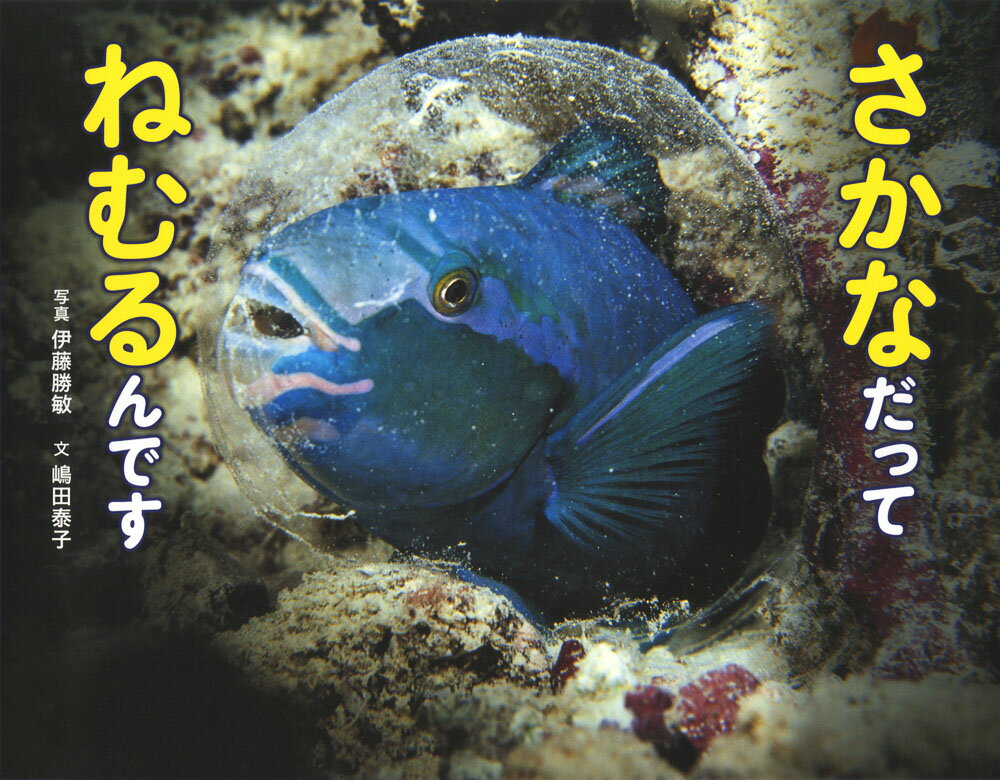 【中古】さかなだってねむるんです/ポプラ社/伊藤勝敏（単行本）