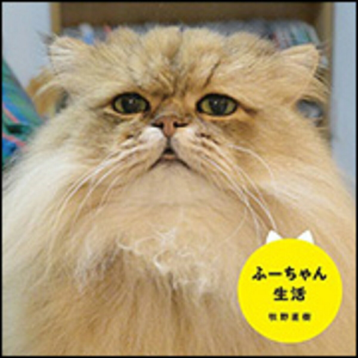 【中古】ふ-ちゃん生活/KADOKAWA/牧野直樹（単行本（ソフトカバー））