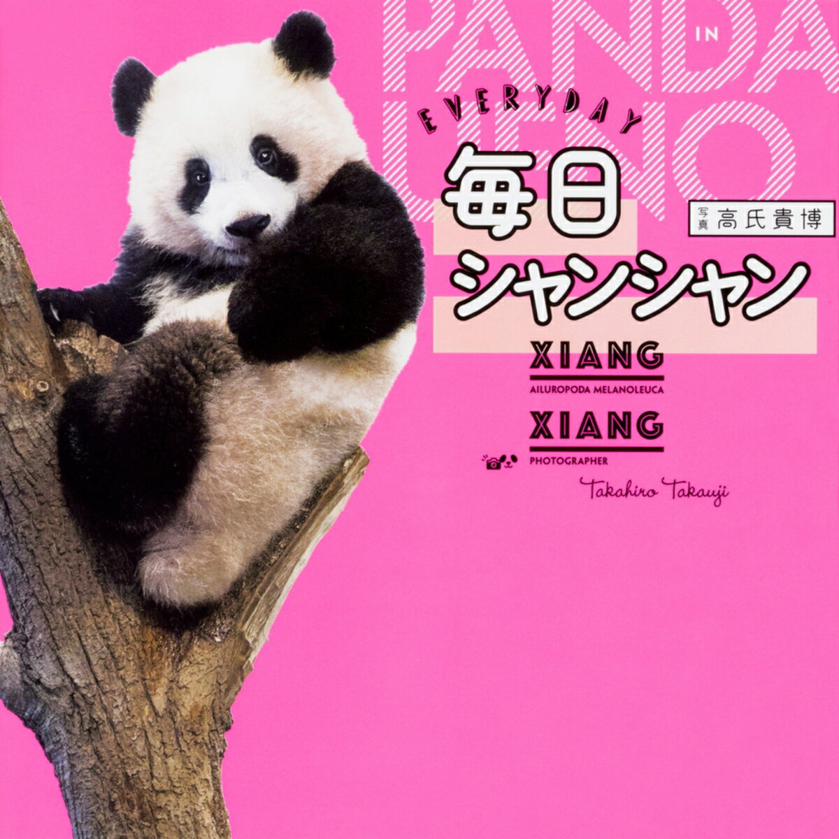 【中古】毎日シャンシャン/KADOKAWA/高氏貴博（単行本）