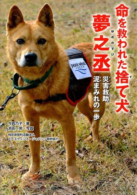 【中古】命を救われた捨て犬夢之丞 災害救助泥まみれの一歩/金の星社/今西乃子（単行本）