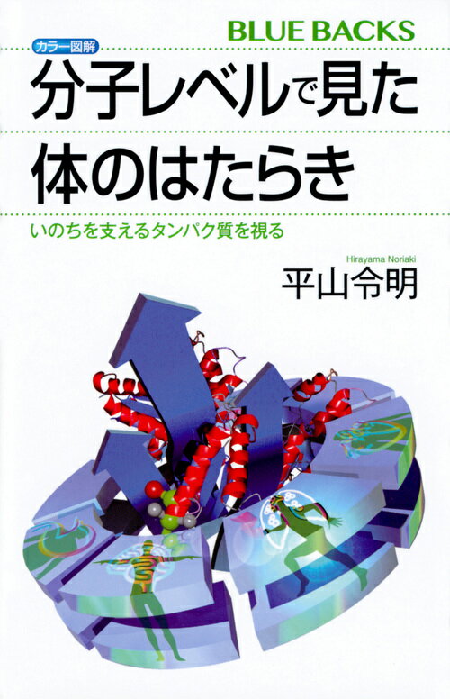 【中古】カラー図解分子レベルで見た体のはたらき いのちを支えるタンパク質を視る/講談社/平山令明（新書）