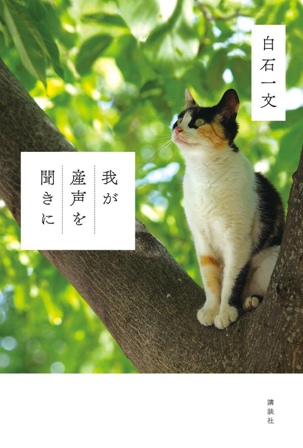 【中古】我が産声を聞きに/講談社/白石一文（単行本）