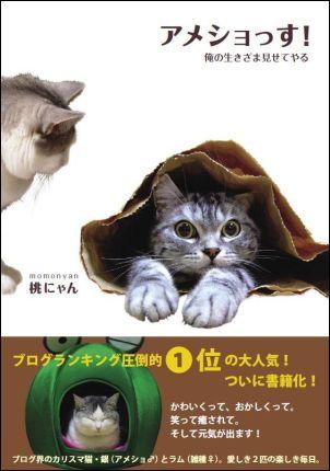 【中古】アメショっす！ 俺の生きざま見せてやる/主婦の友社/桃にゃん（単行本）