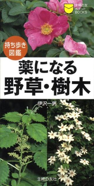 【中古】薬になる野草・樹木 持ち歩き図鑑/主婦の友社/伊沢一男（単行本）