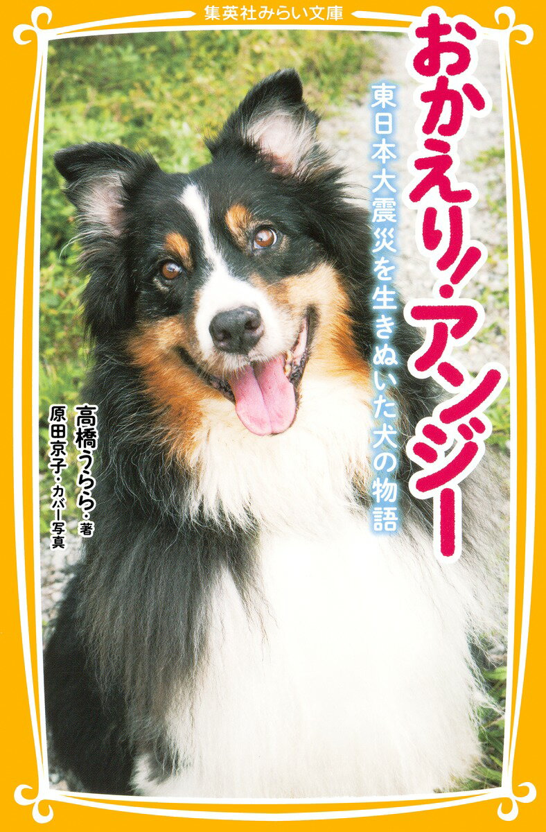 【中古】おかえり！アンジ- 東日本大震災を生きぬいた犬の物語/集英社/高橋うらら（新書）