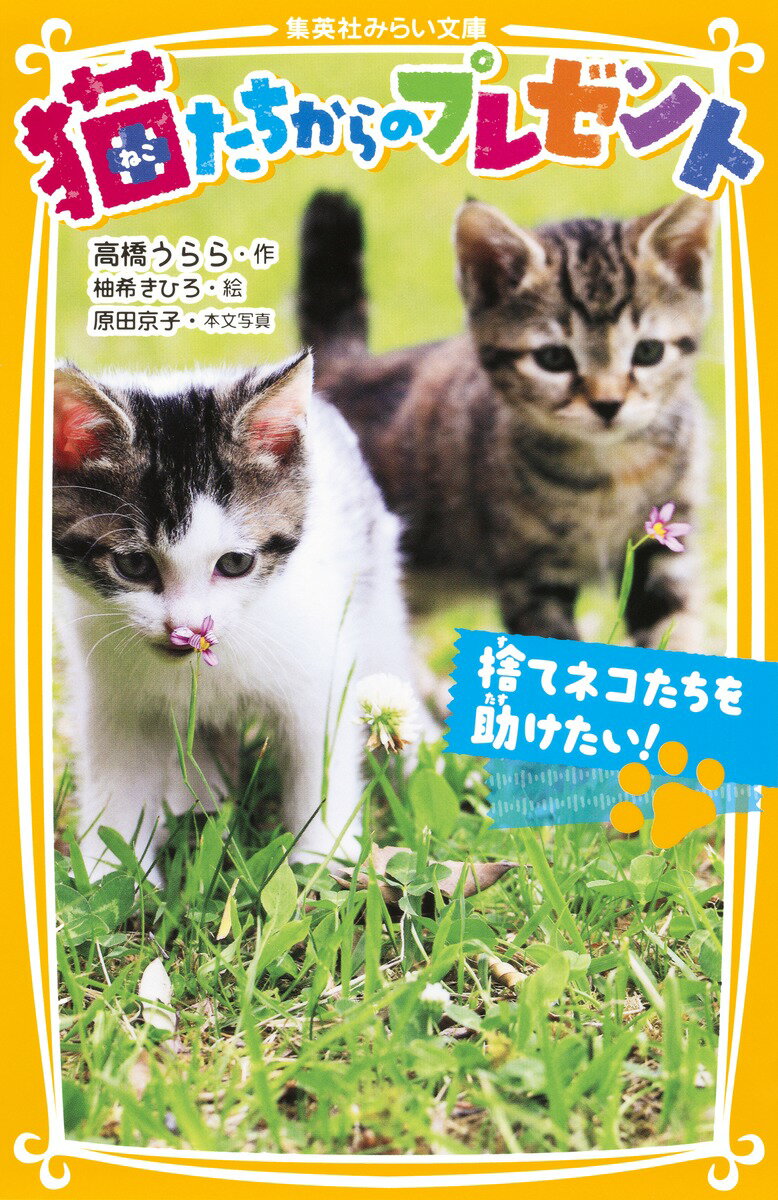 【中古】猫たちからのプレゼント 捨てネコたちを助けたい！/集英社/高橋うらら（新書）