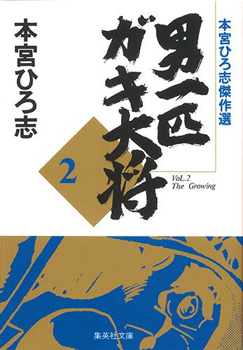 【中古】男一匹ガキ大将 2/集英社/本宮ひろ志（文庫）