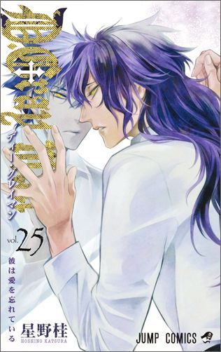 【中古】D．Gray-man 25/集英社/星野桂（コミック）
