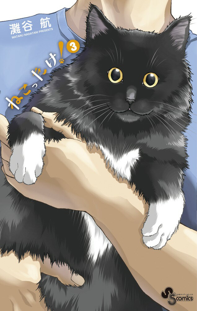 【中古】ねこったけ！ 3/小学館/灘谷航（コミック）