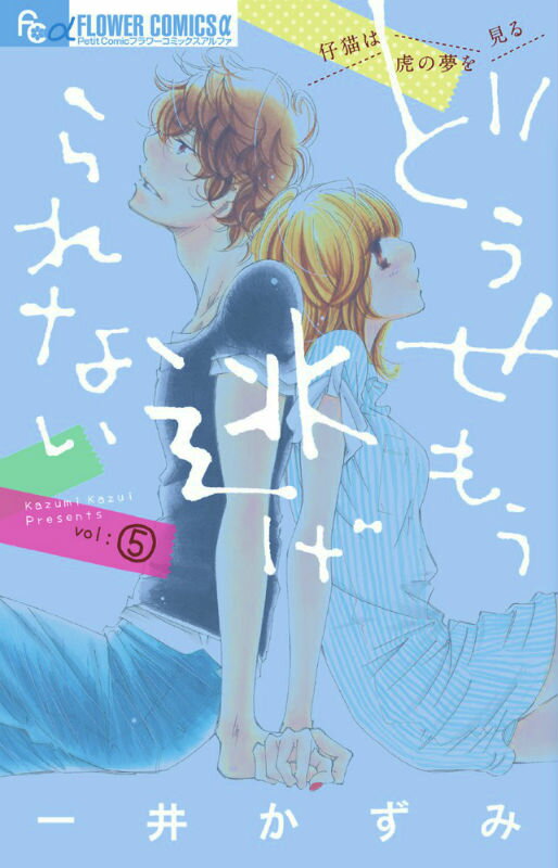 【中古】どうせもう逃げられない 5/小学館/一井かずみ（コミック）